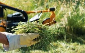 AS 21 4T B&S Comfort High Grass Mower - Image 4